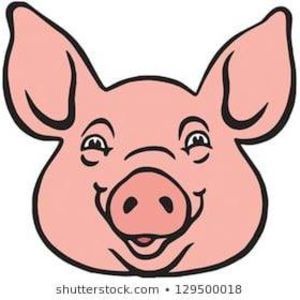 Meet your Posher, Donny